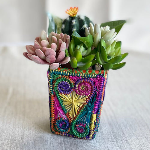 Iraca Multicolor Vase (Multiuser)- Home